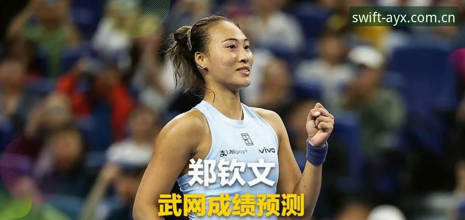 资深用户分享：法网抽签新格局下的观赛体验与郑钦文卫冕之路